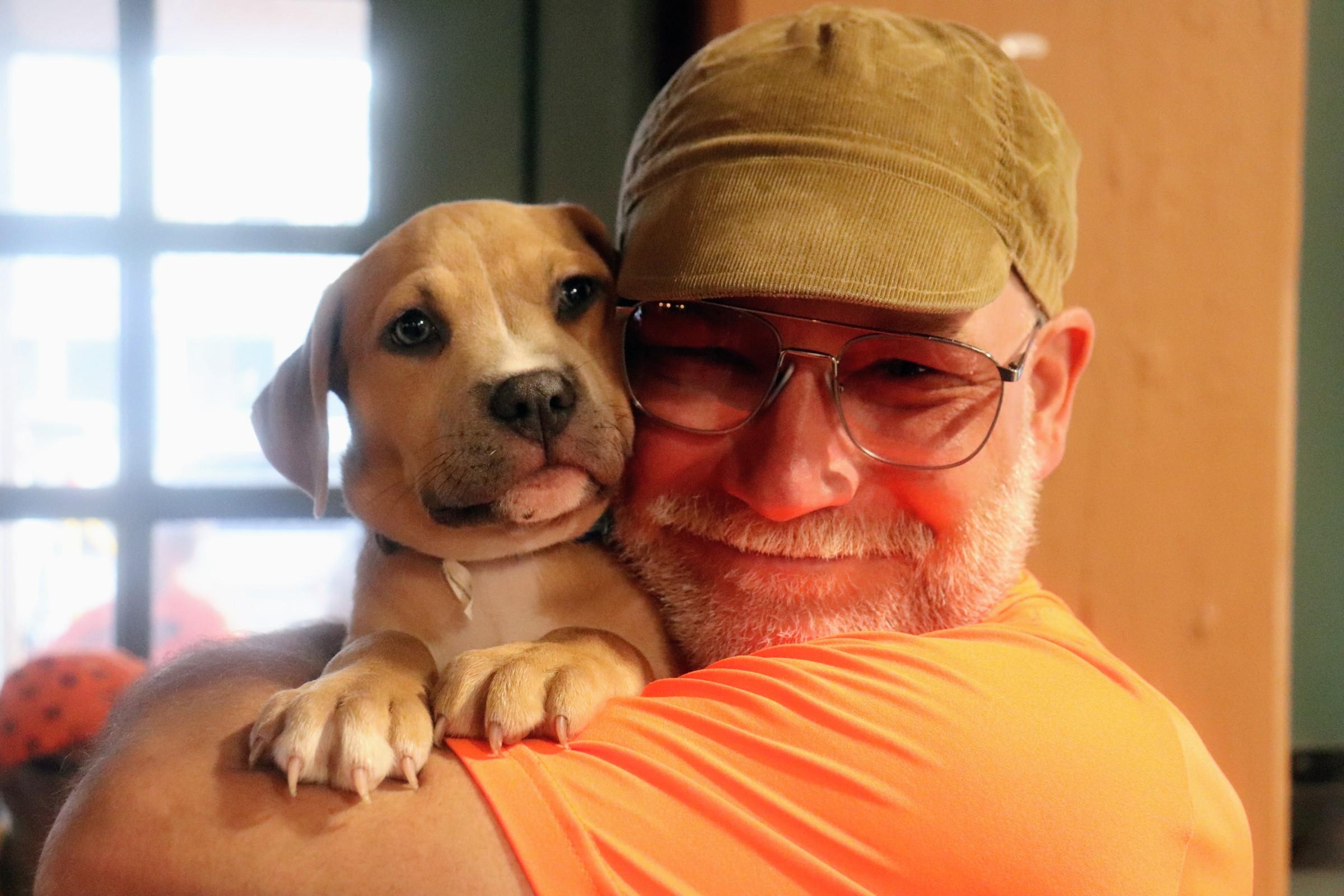 Biscuit & Gravy, an adopted mixed breed in Buffalo, NY image 4/6
