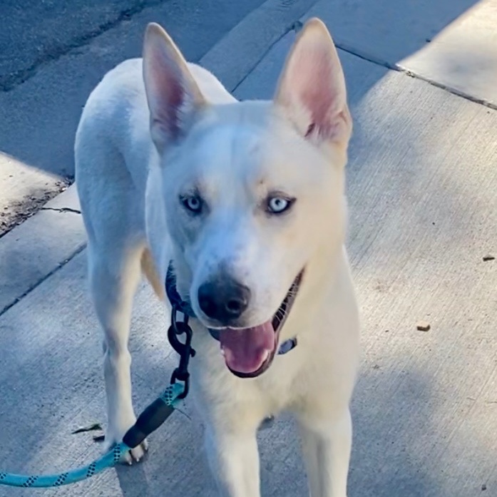 Winter — thumbnail 2