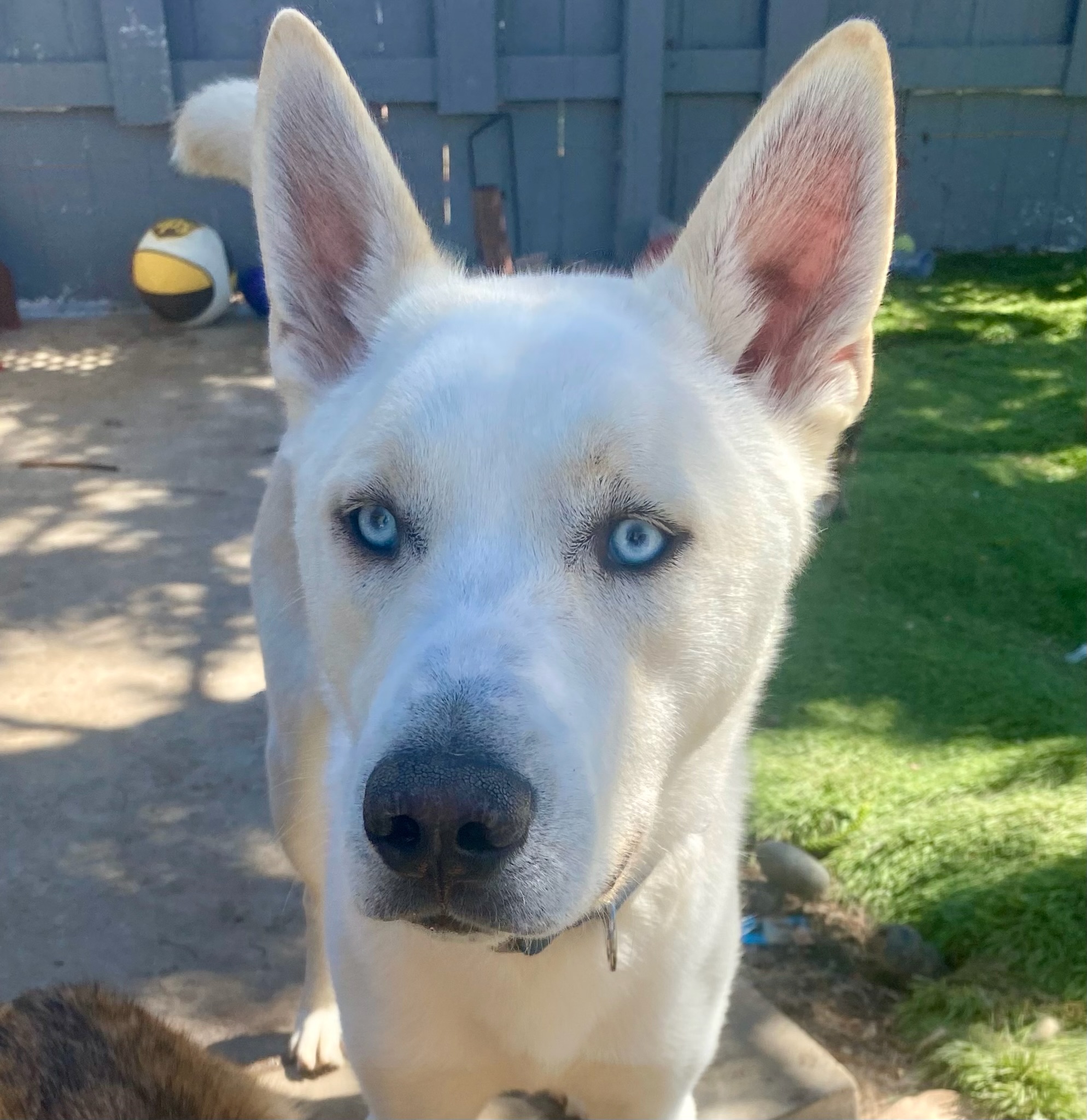 Winter — thumbnail 3