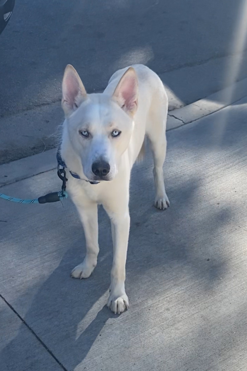 Winter — thumbnail 4