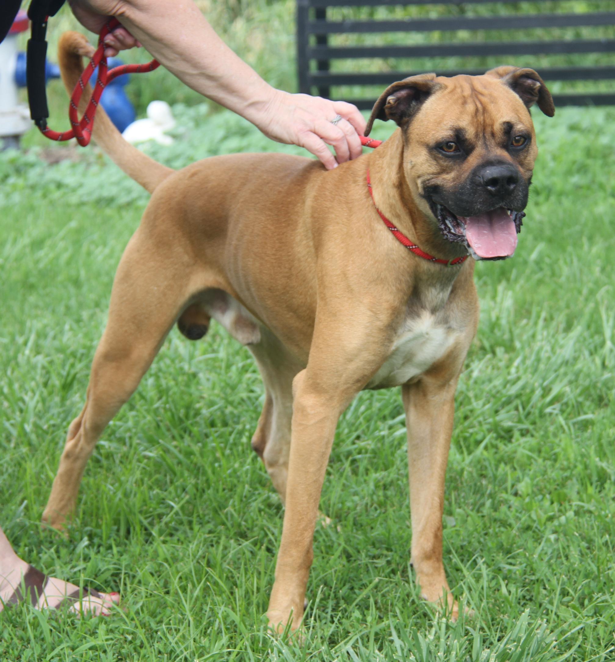 Blu (Photos 6/20/2025)