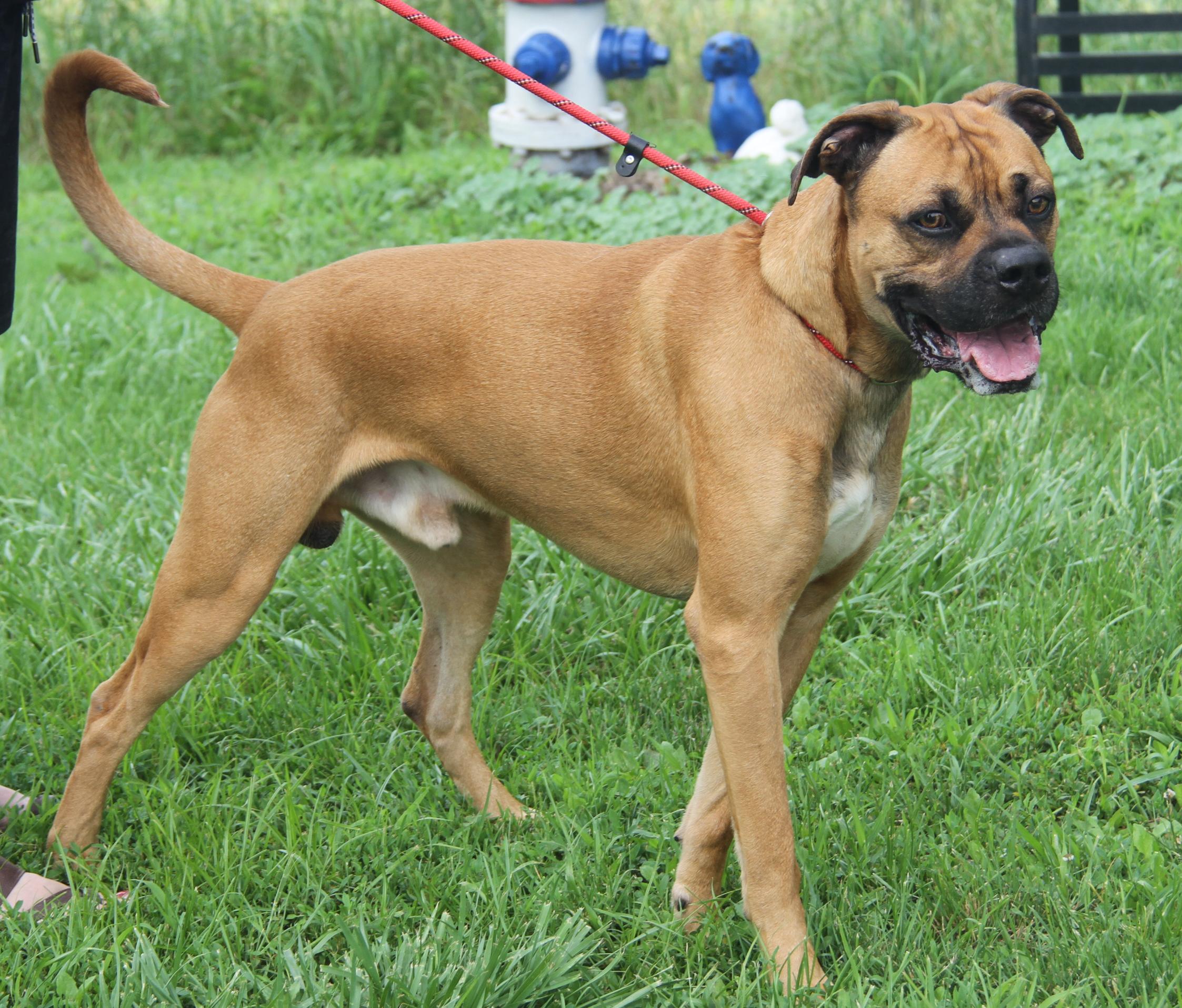 Blu (Photos 6/20/2025)