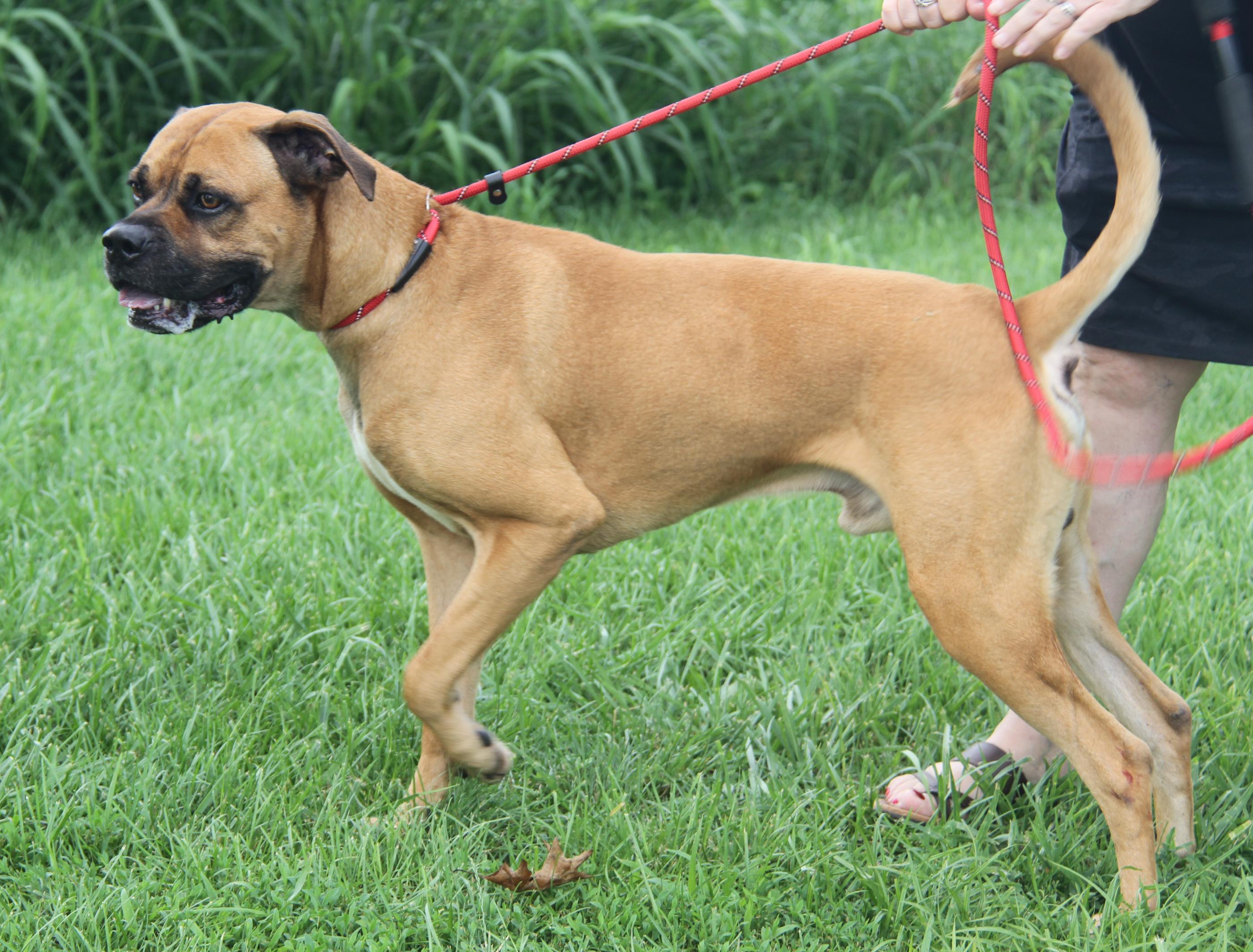 Blu (Photos 6/20/2025)