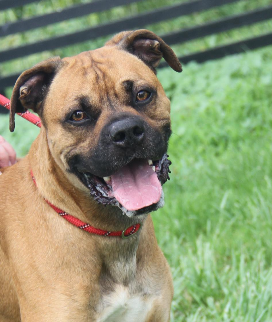 Blu (Photos 6/20/2025)