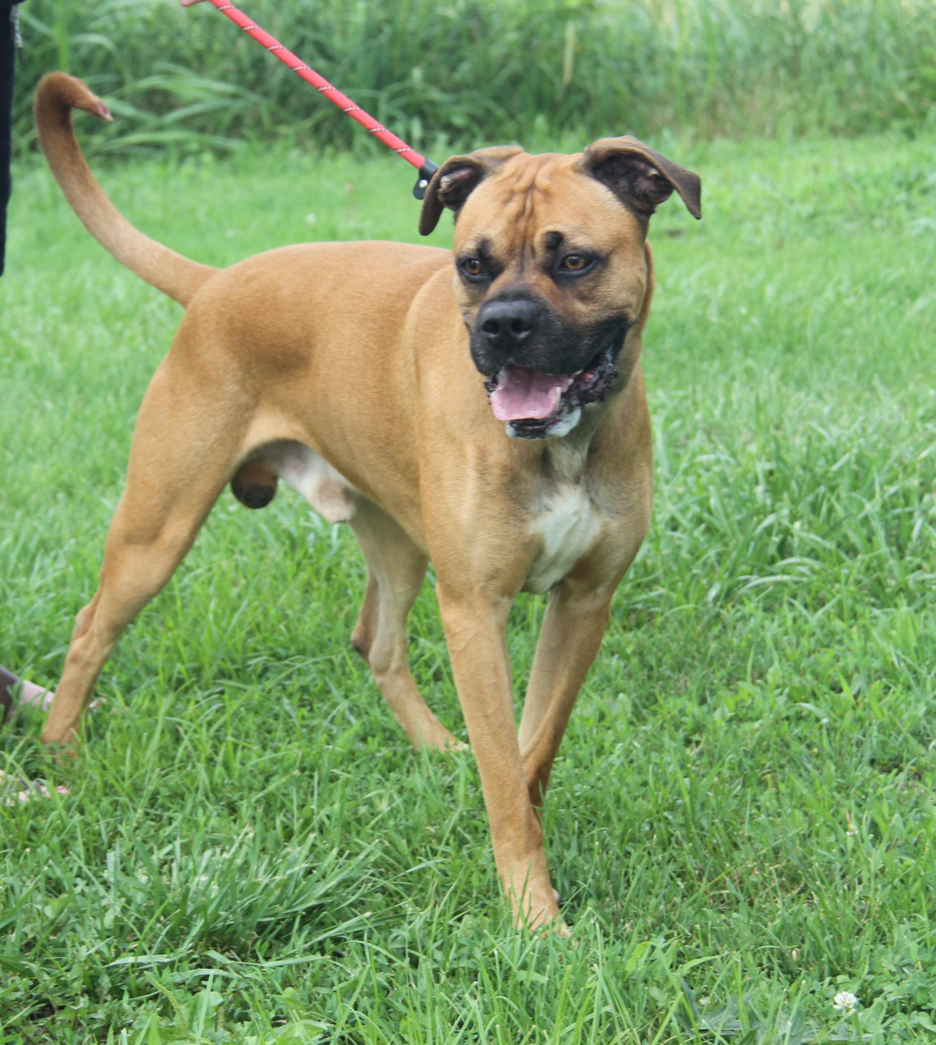 Blu (Photos 6/20/2025)