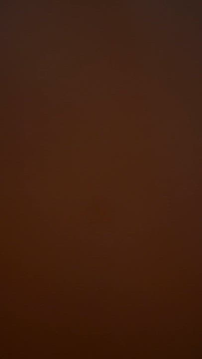 Enlarge Freddie, a Adoptable Oriental Tabby in Pomona, CA video 5/5