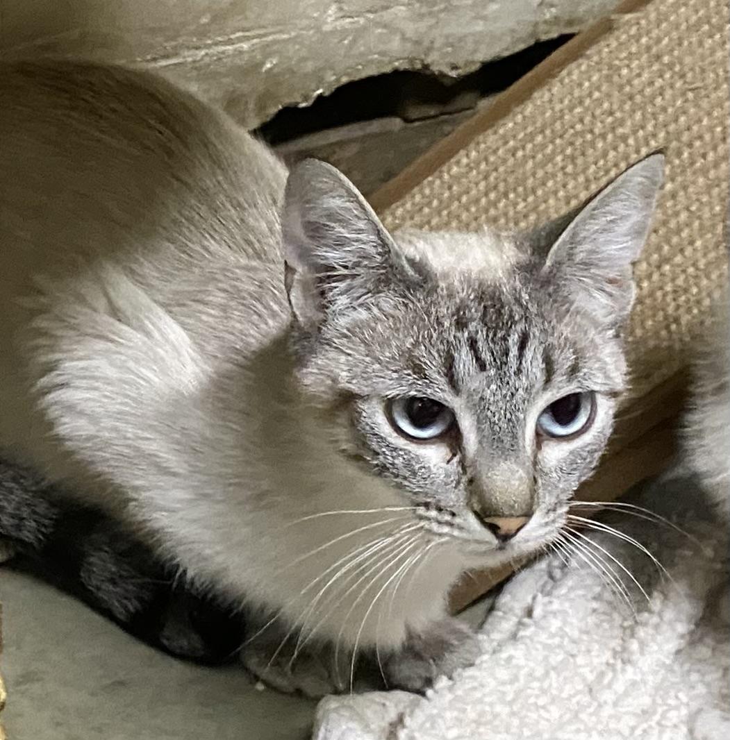 Sylvie (very friendly)