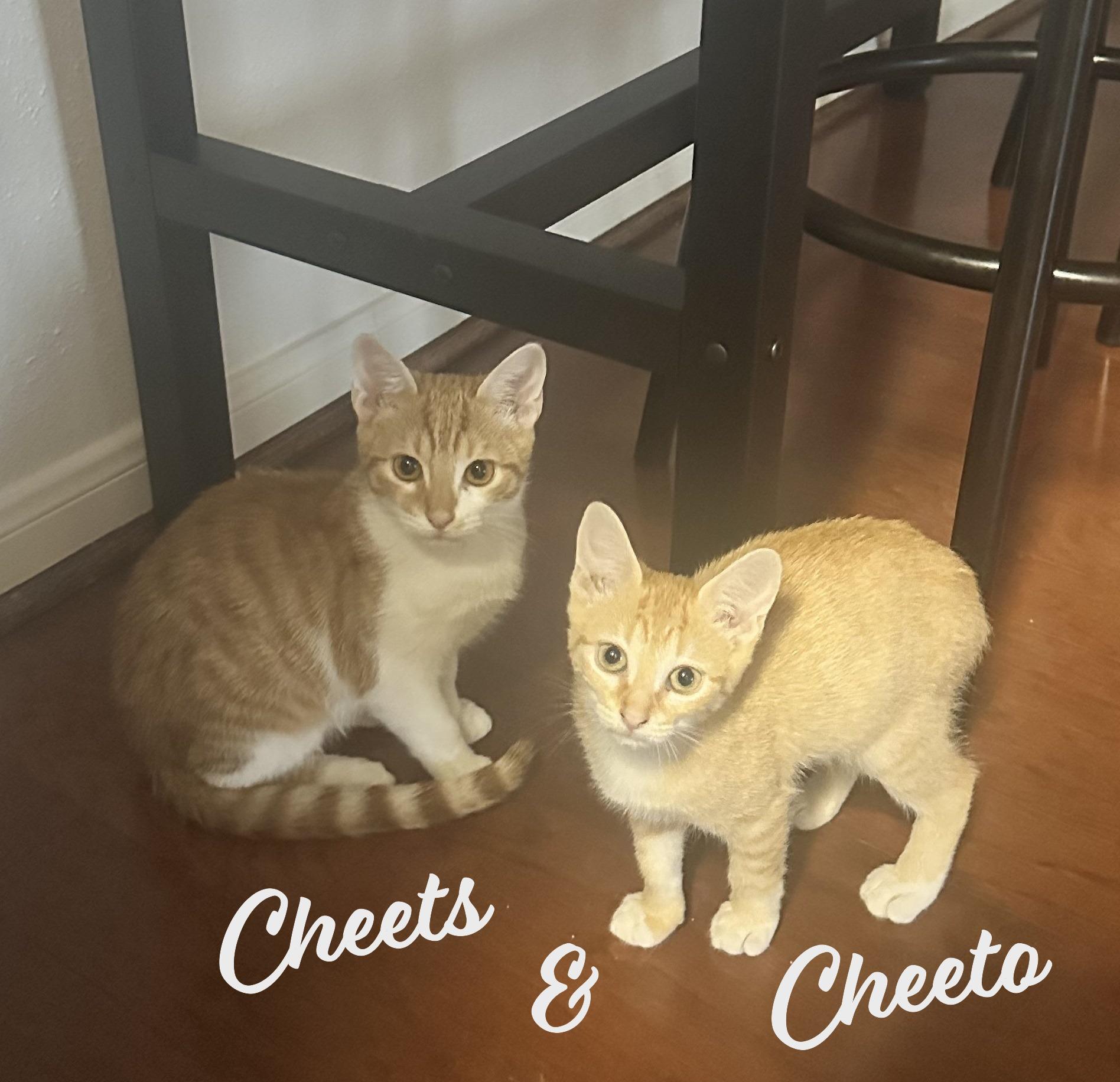 Cheeto & Cheets #bonded-pair