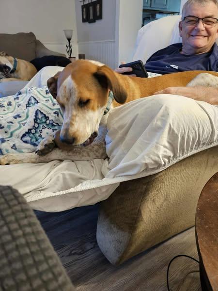 Gabby *Foster or Adopter Needed*