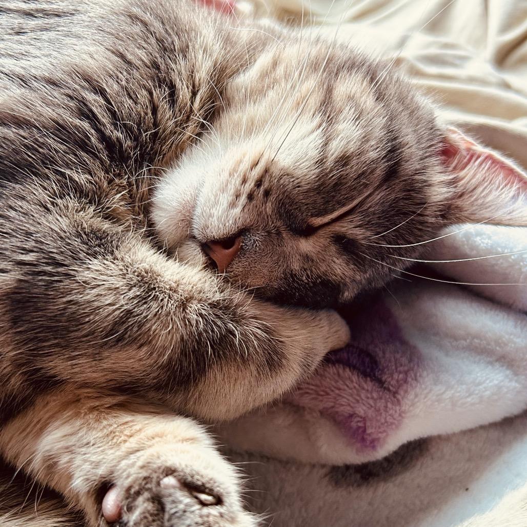 Wave — thumbnail 2