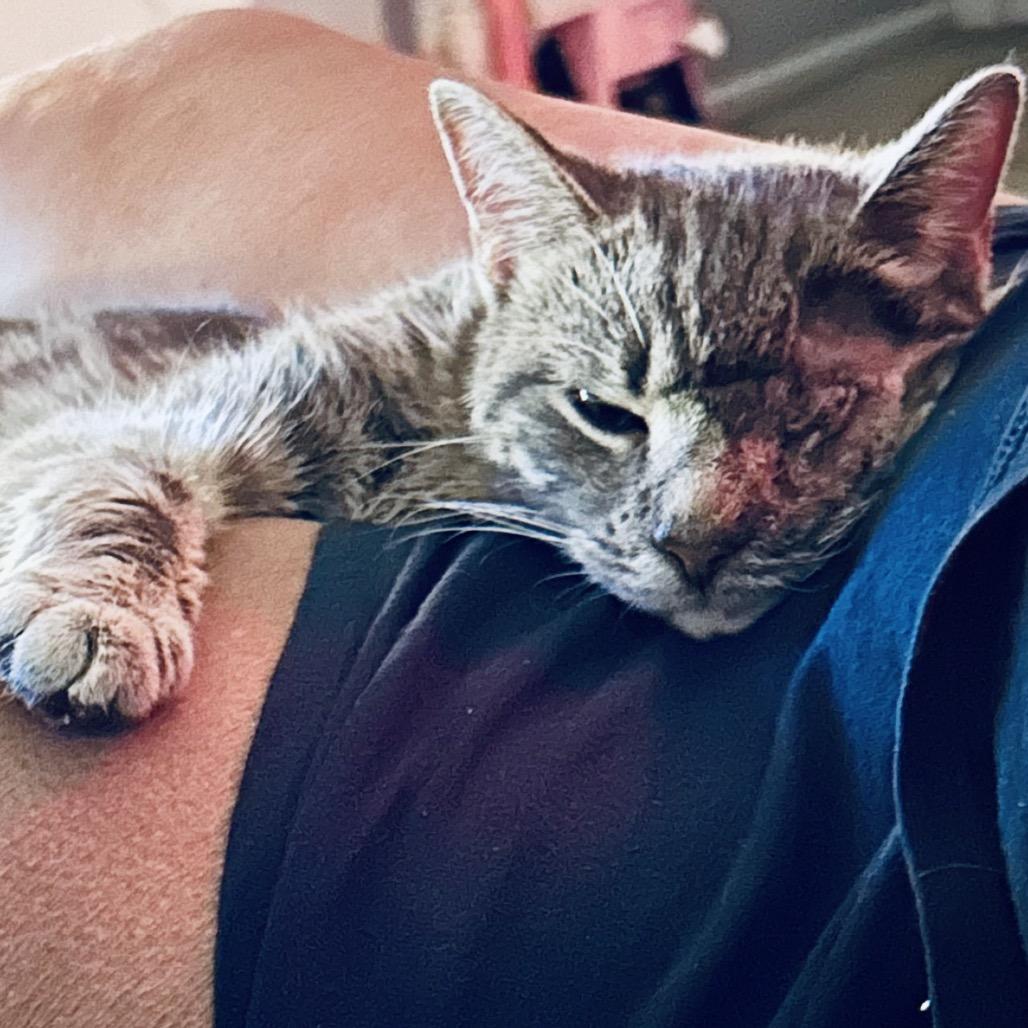 Wave — thumbnail 3