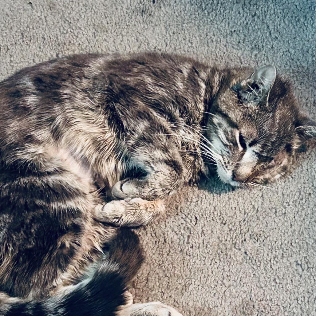 Wave — thumbnail 4