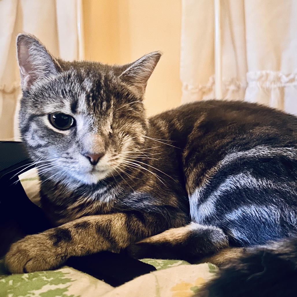 Wave — thumbnail 5