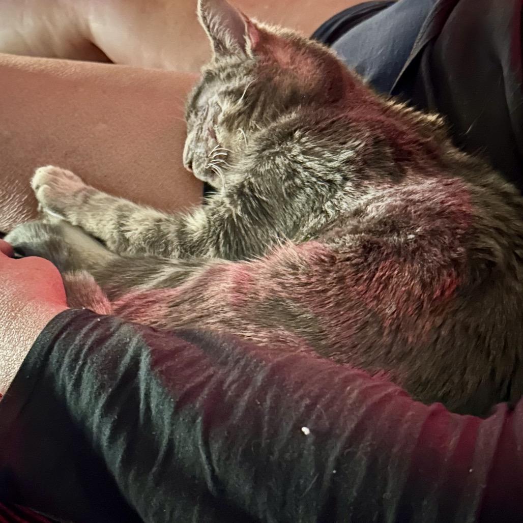 Wave — thumbnail 6