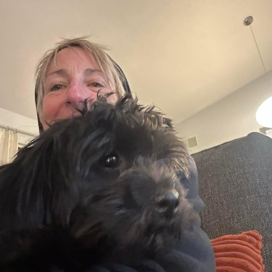 Enlarge Chip, a ADOPTABLE Poodle in Homer Glen, IL image 2/4