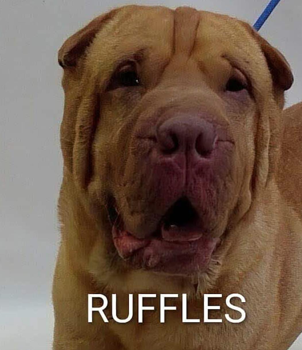 RUFFLES