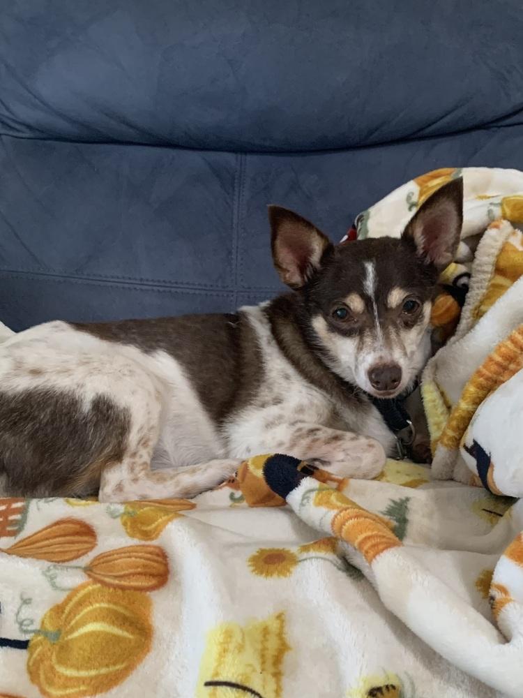 Maribell thumbnail 3