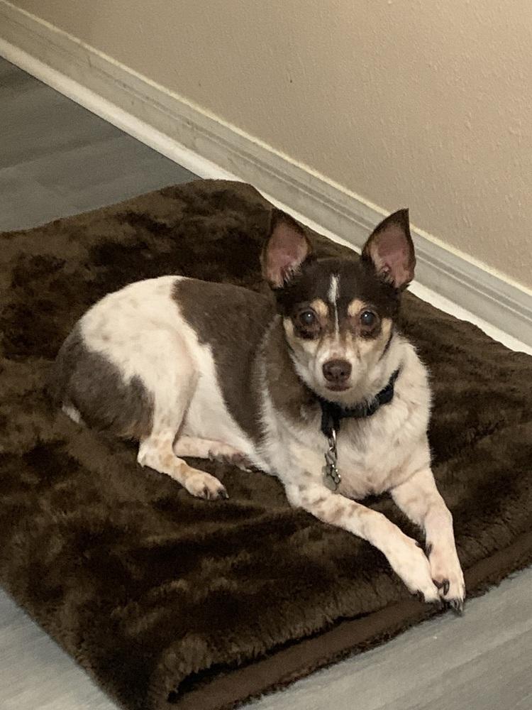 Maribell thumbnail 4