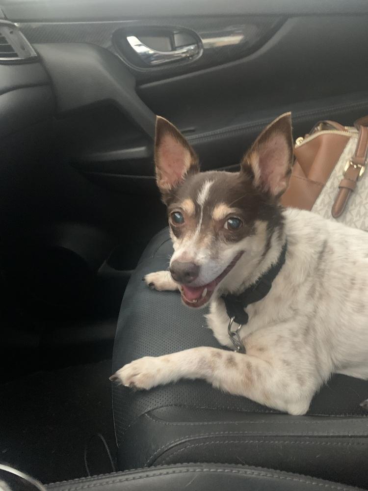 Maribell thumbnail 5