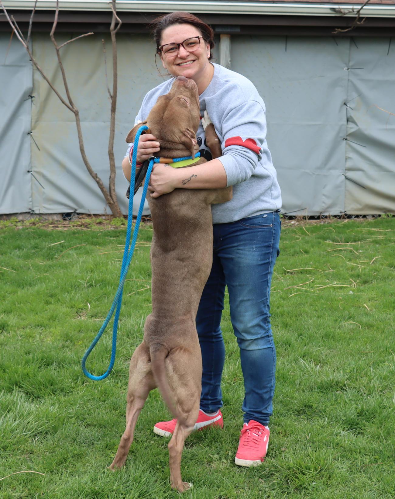 Enlarge Malcolm, a ADOPTABLE mixed breed in Euclid, OH image 4/6