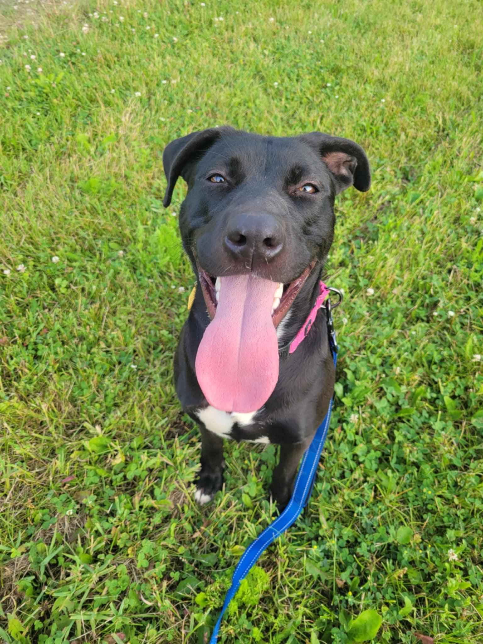 Caroline-Not Accepting Applications Yet! (late June/July)