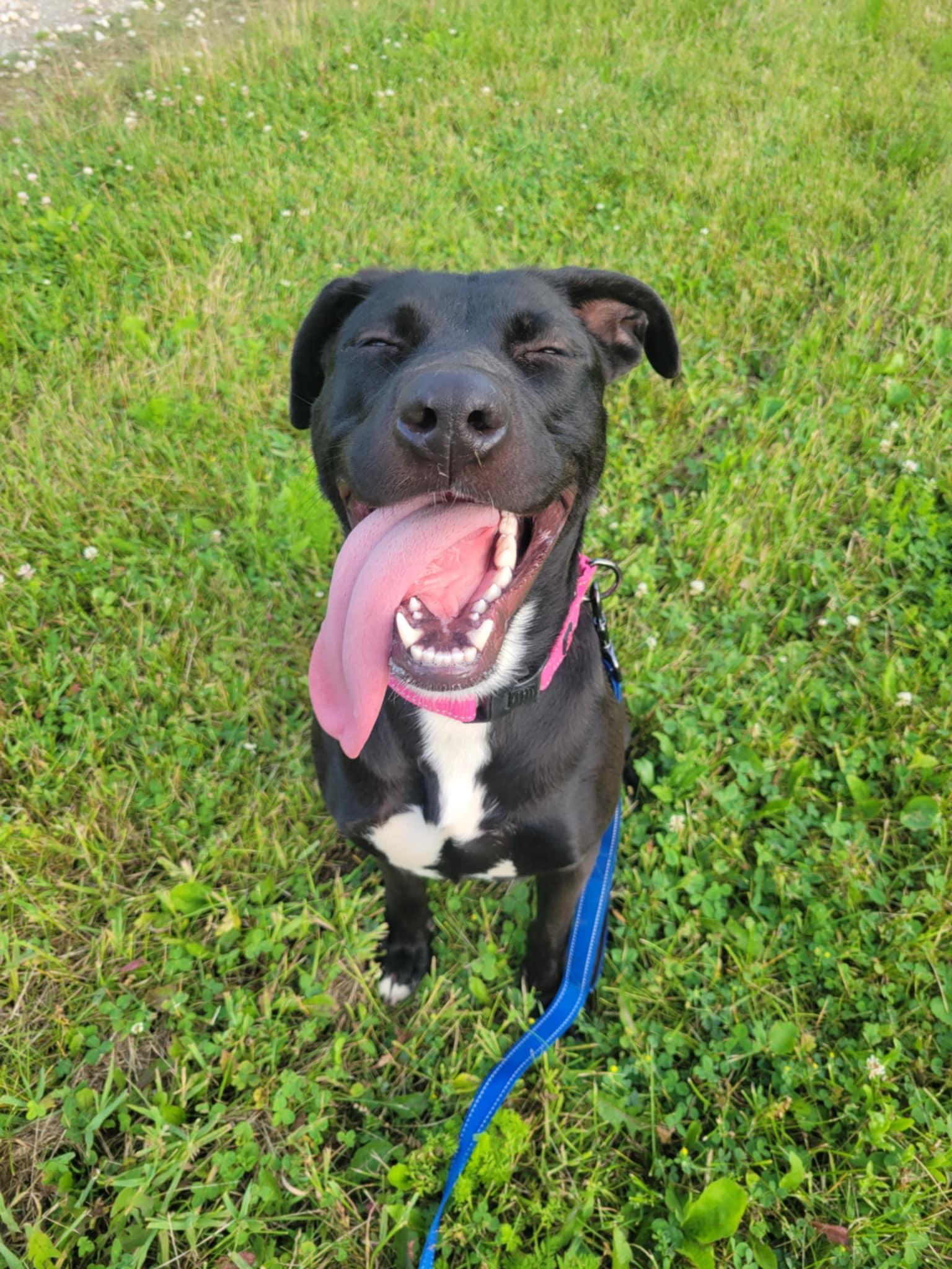 Caroline-Not Accepting Applications Yet! (late June/July)