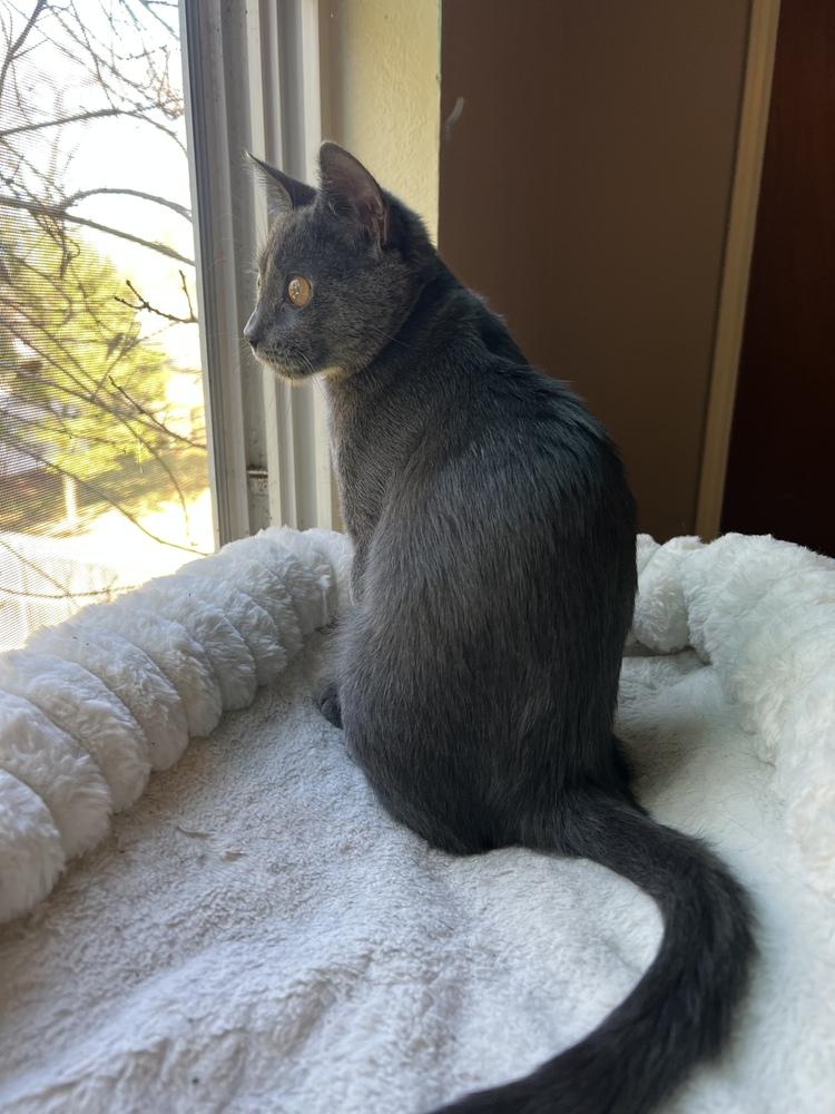 Jackie — thumbnail 3