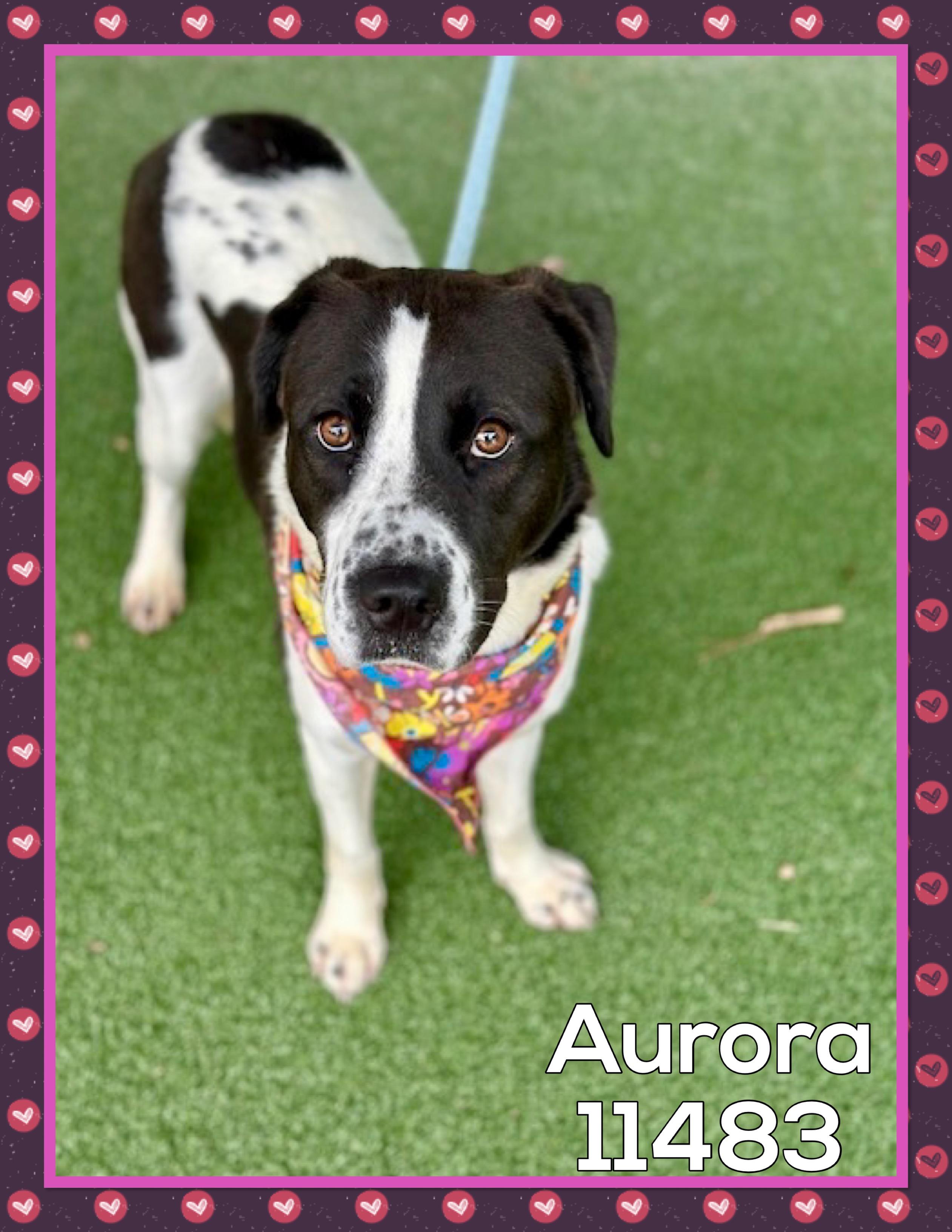 AURORA