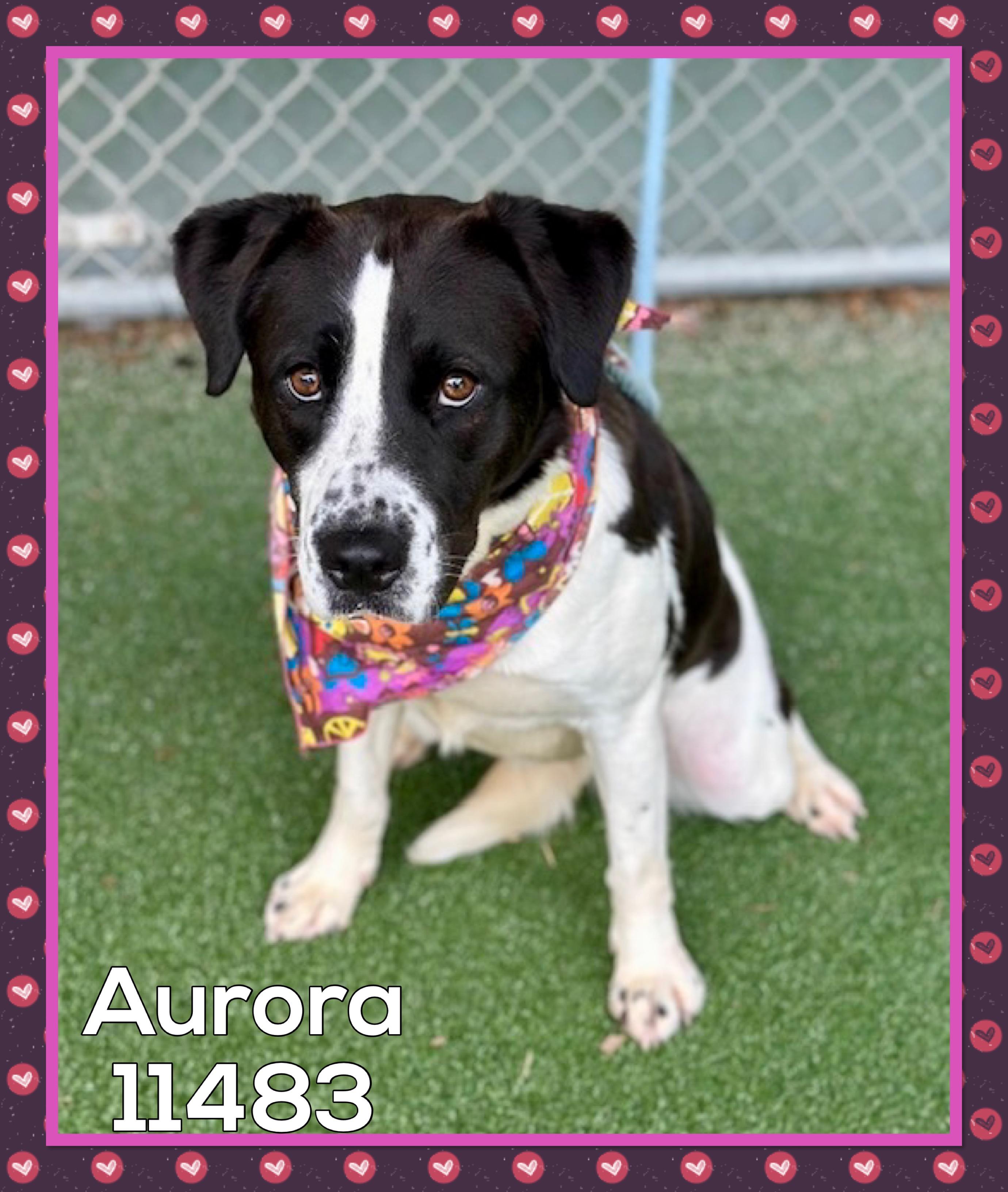 AURORA