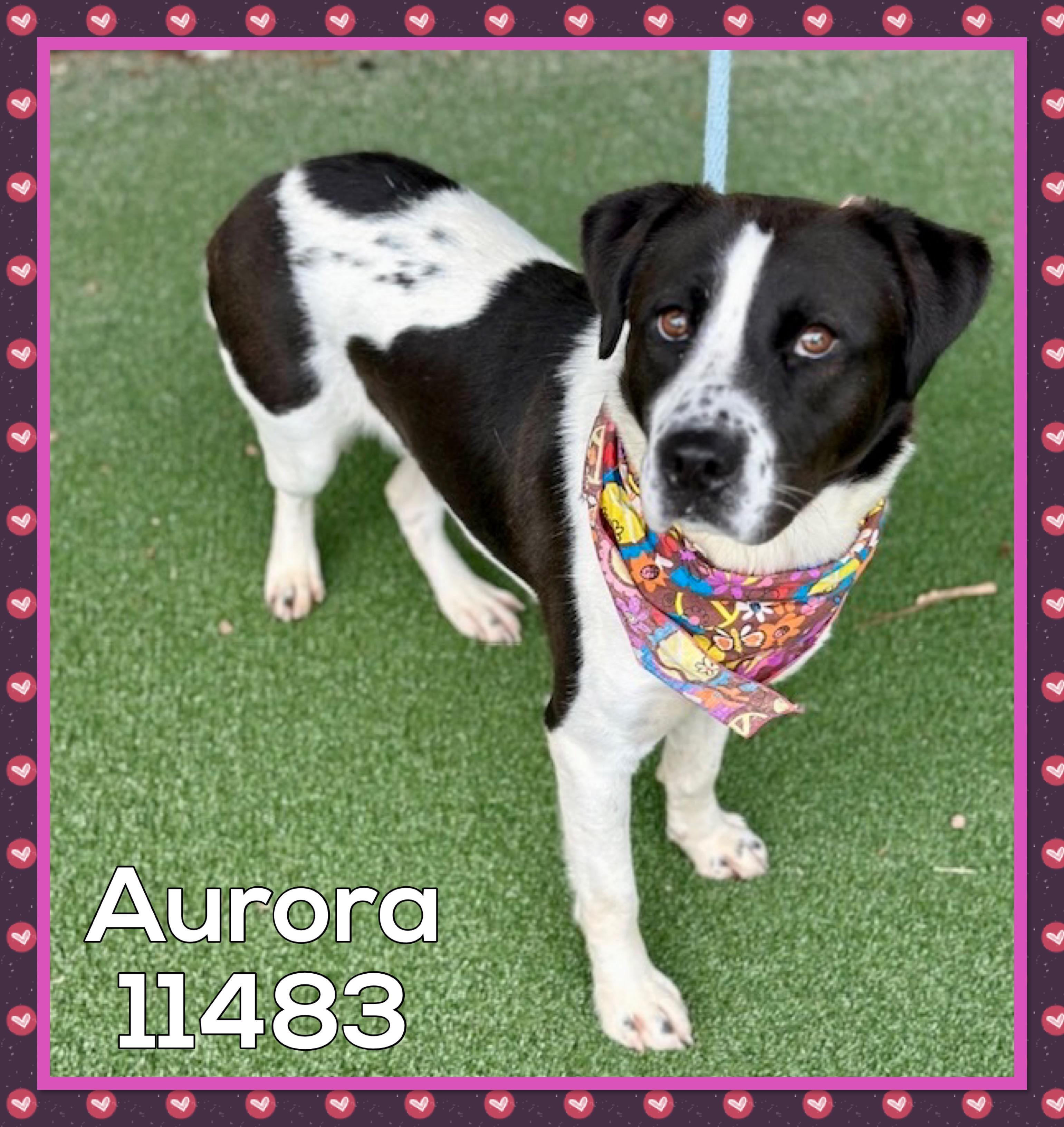 AURORA