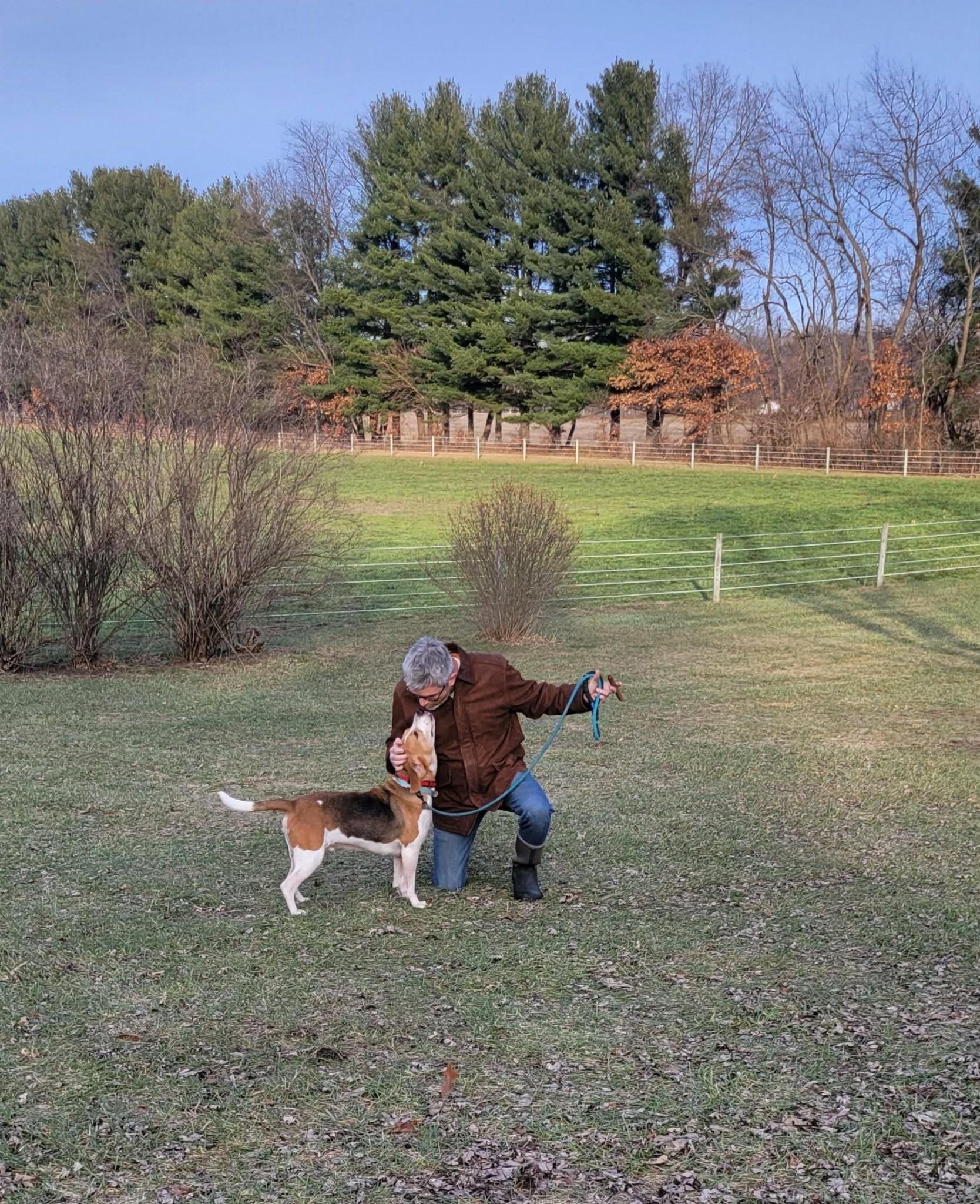 Benny, an adopted mixed breed in Michigan City, IN image 3/6