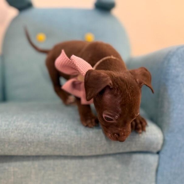 Kiri Sunshine — thumbnail 5