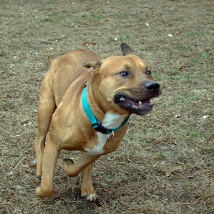 Asher — thumbnail 2