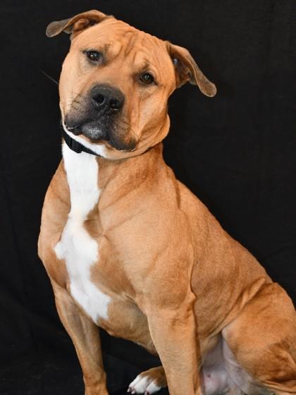 Asher — thumbnail 3