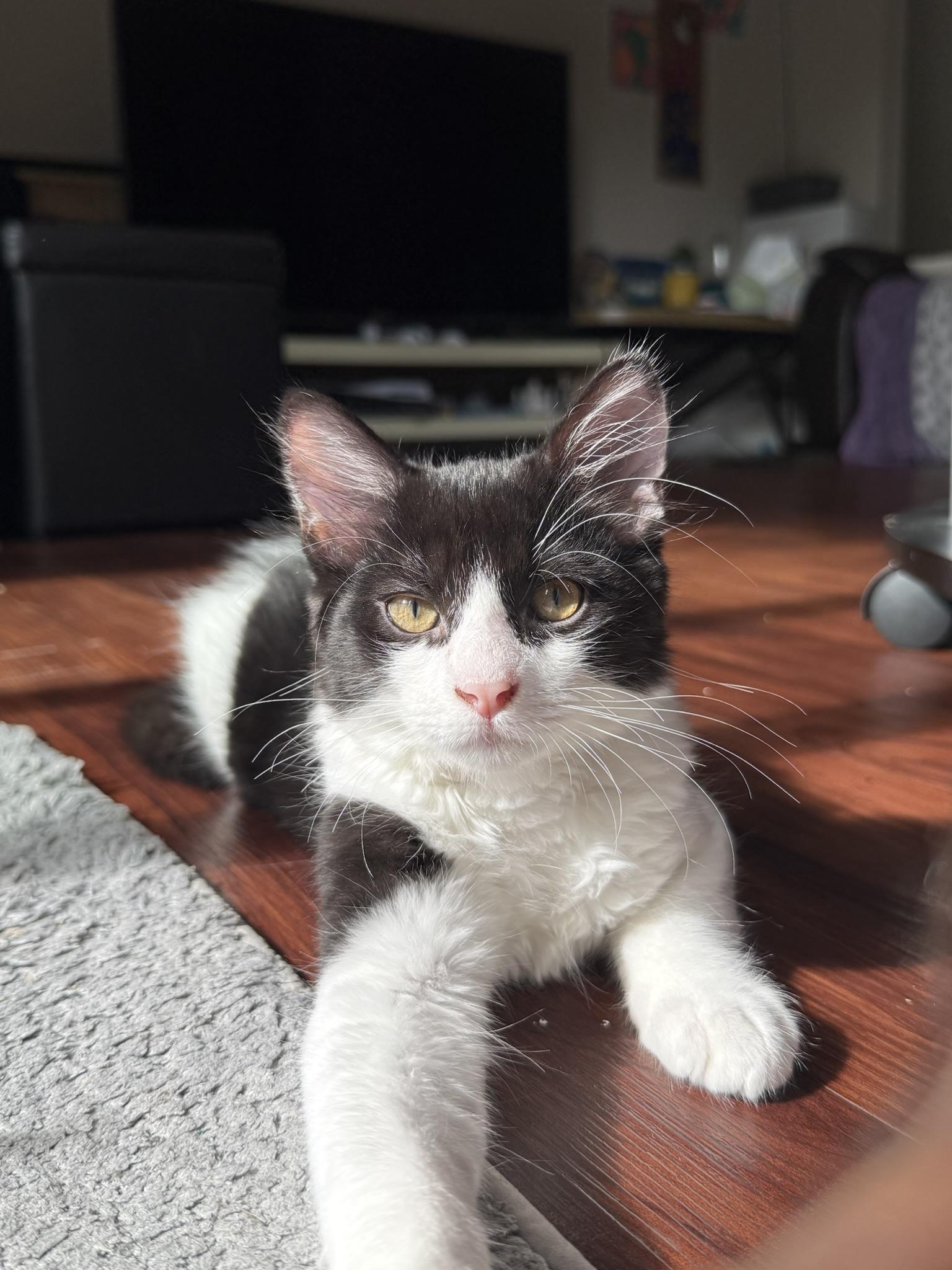 Sweet Pea & Fern (social / playful / sweet)