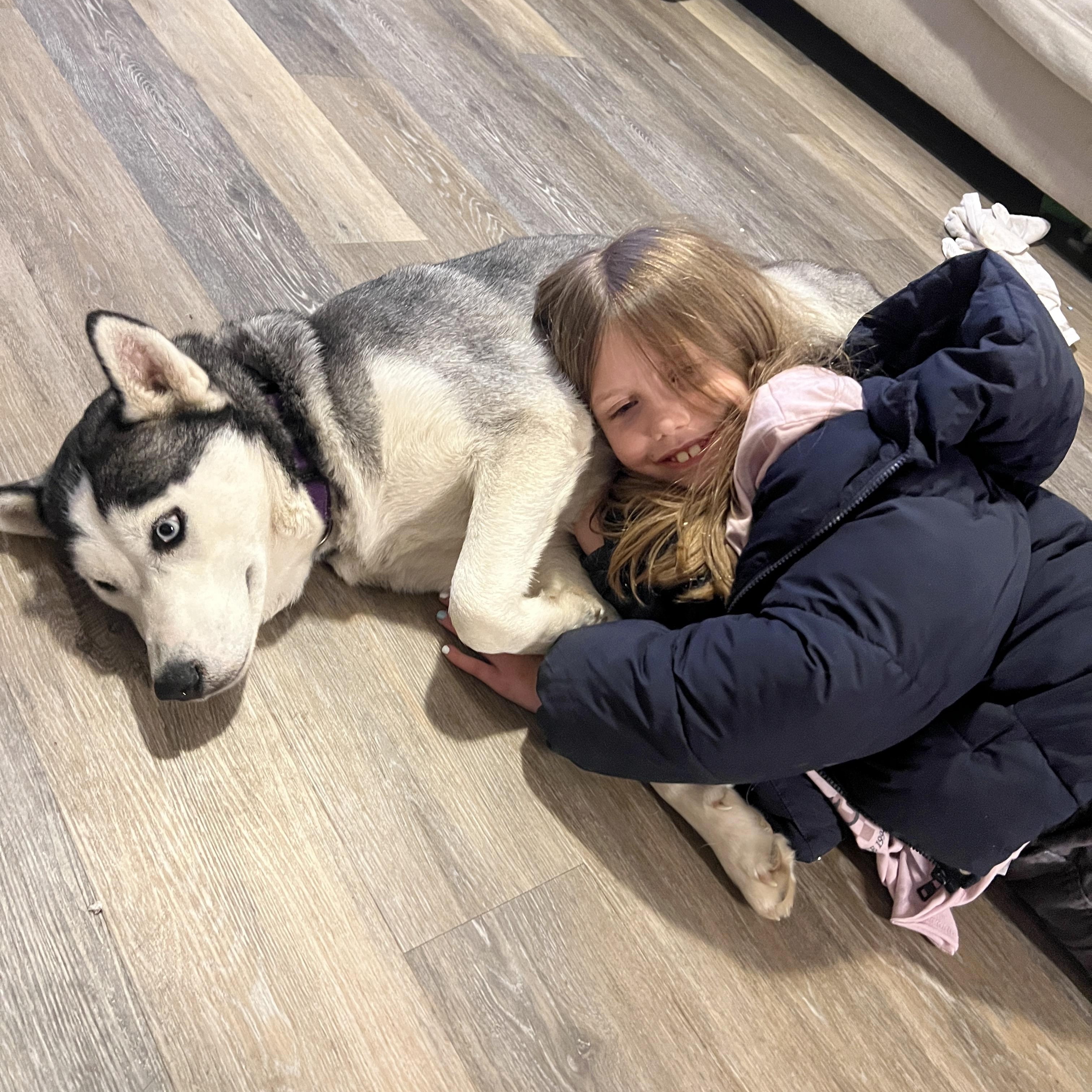 Enlarge Luna, an adopted mixed breed in Westland, MI image 6/6