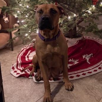 Anne Bonny — thumbnail 3