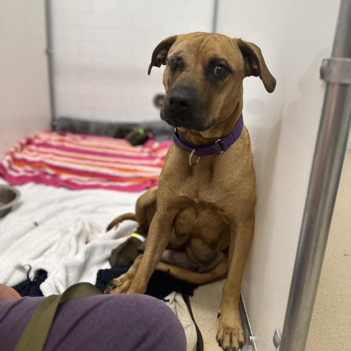 Anne Bonny — thumbnail 6