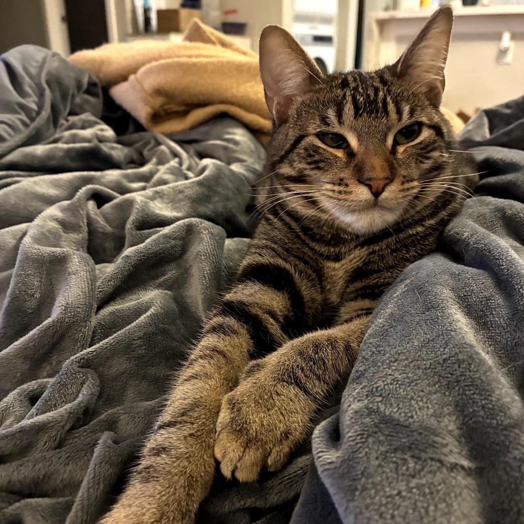 Arisa — thumbnail 2