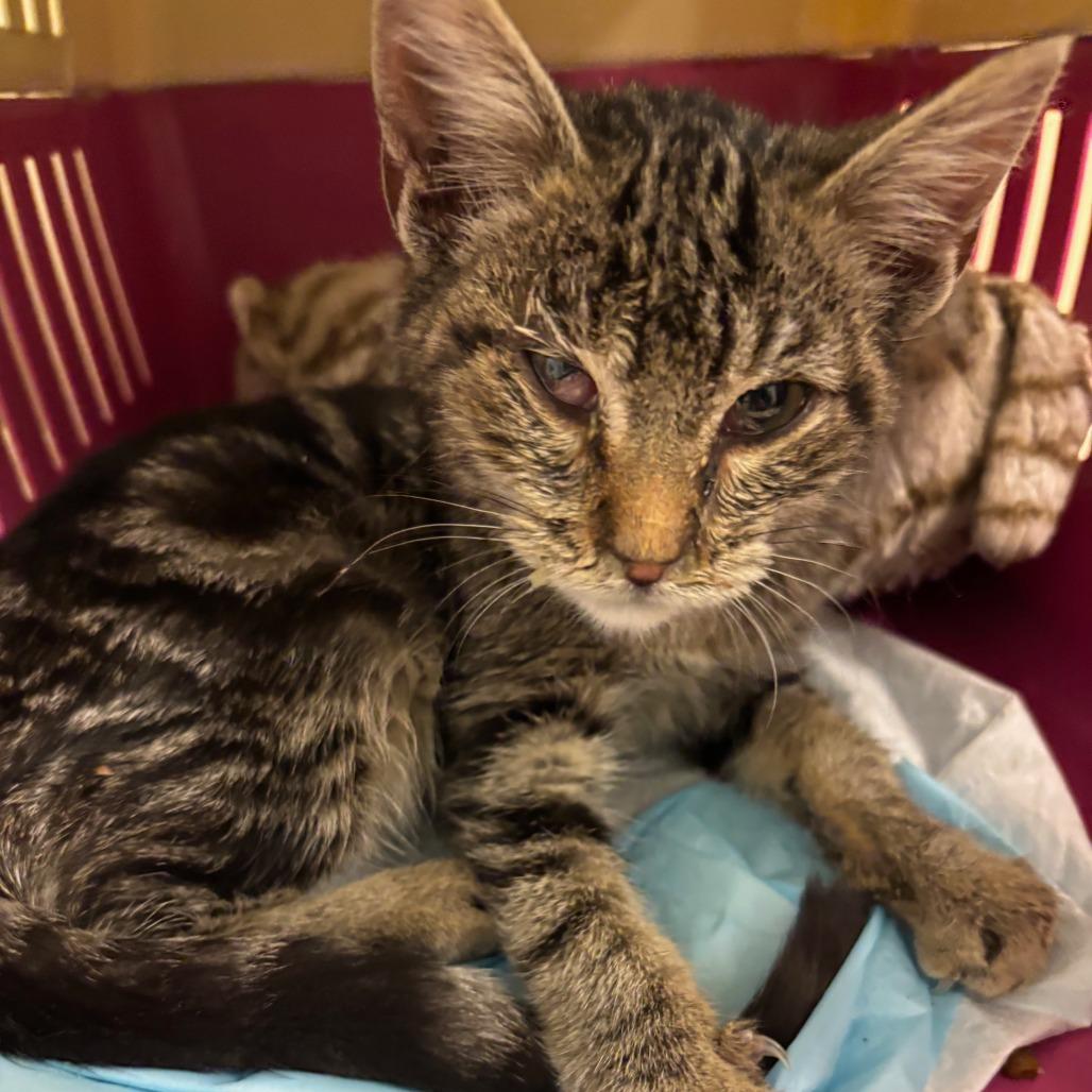 Arisa — thumbnail 3