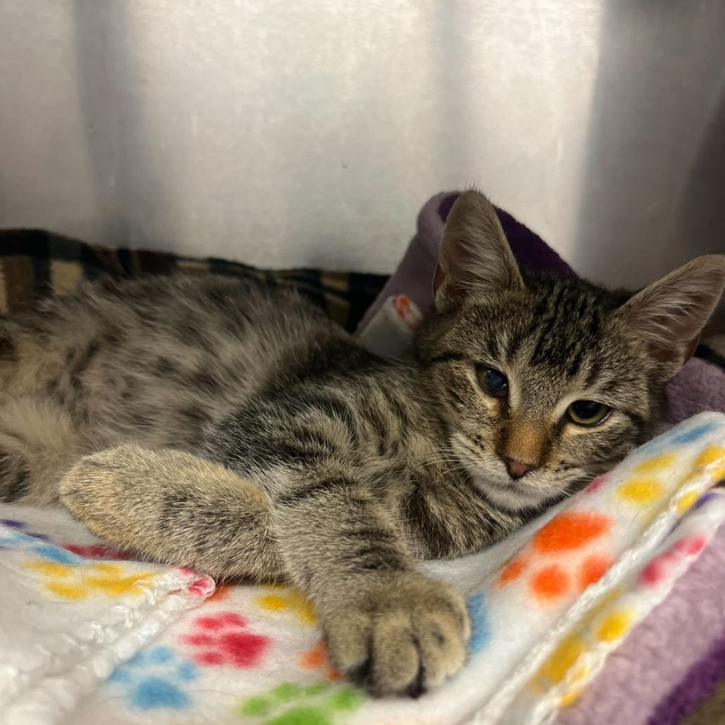 Arisa — thumbnail 4