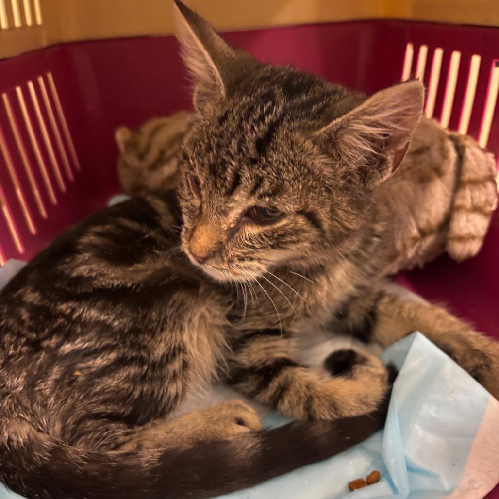 Arisa — thumbnail 5