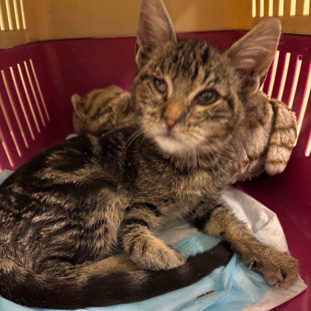 Arisa — thumbnail 6