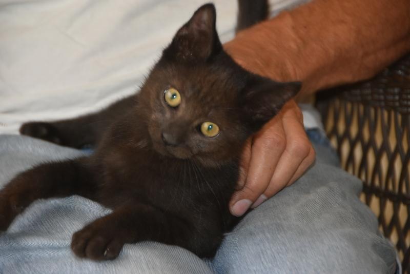 Snori (Bev-Fostered in New England), Baby Male unknown