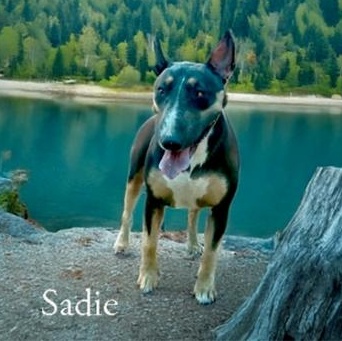 Sadie