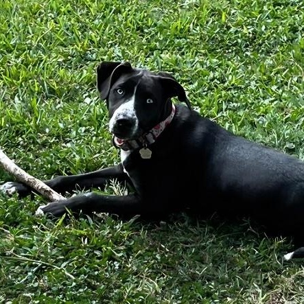 Sissie Jane Garza — thumbnail 3