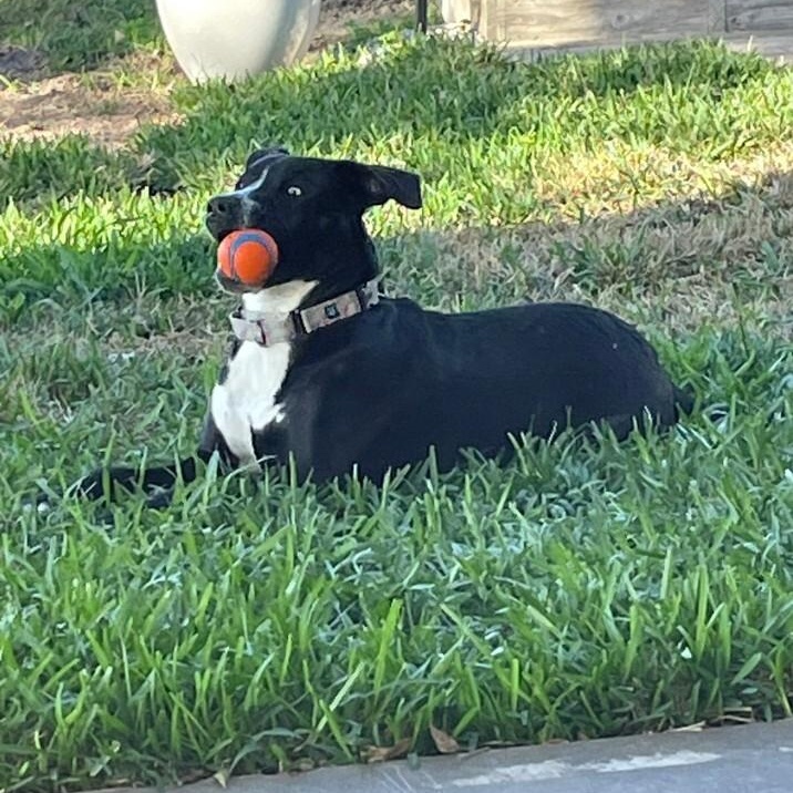 Sissie Jane Garza — thumbnail 4