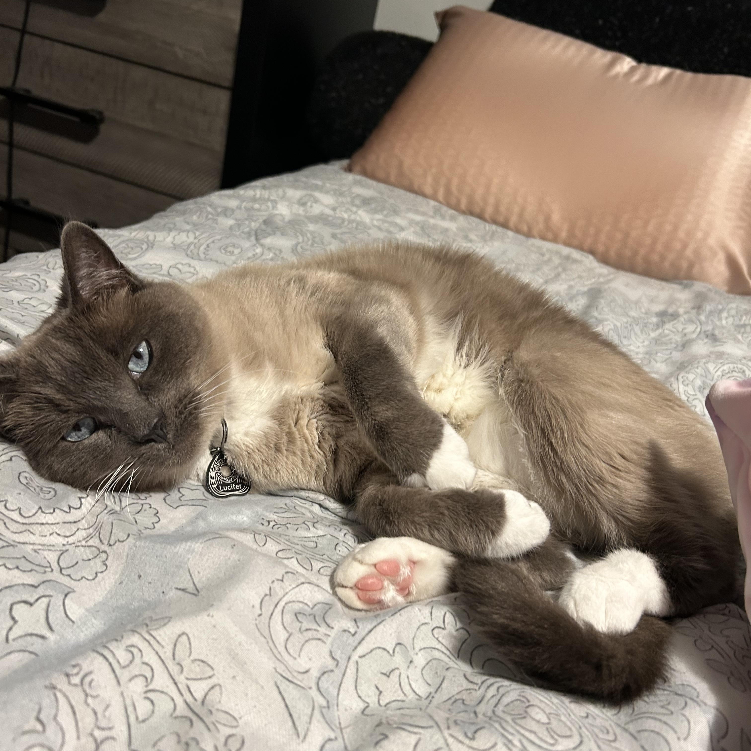 Loki