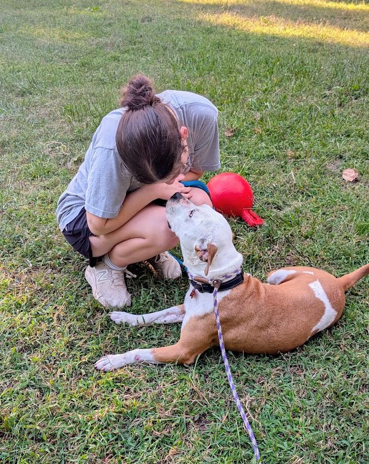 Enlarge Lila - AVAILABLE TO FOSTER OR ADOPT, a Adoptable mixed breed in Clayton, NC image 6/6