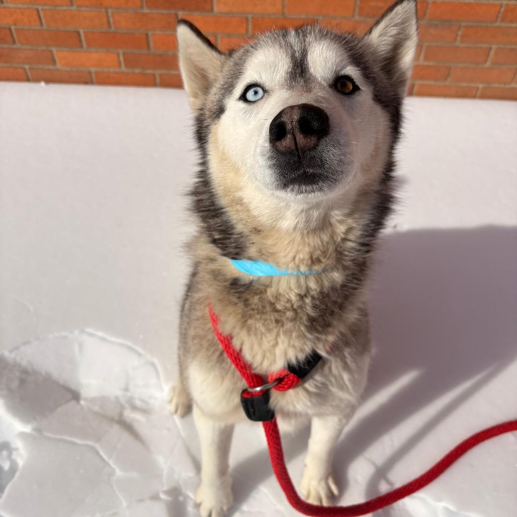 Clam Chowder thumbnail 2